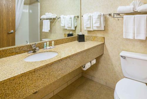Hotel Comfort Inn I-90 Rapid City