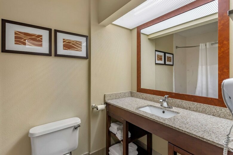 Hotel Comfort Suites At Rivergate Mall