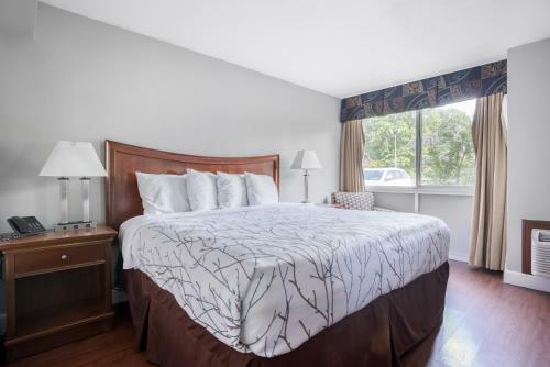 Oyo Hotel Memphis Tn I-40