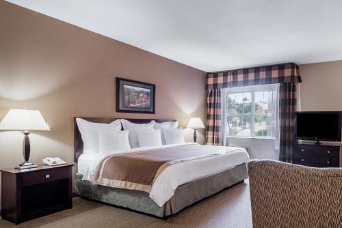 Hotel Hawthorn Suites Addison