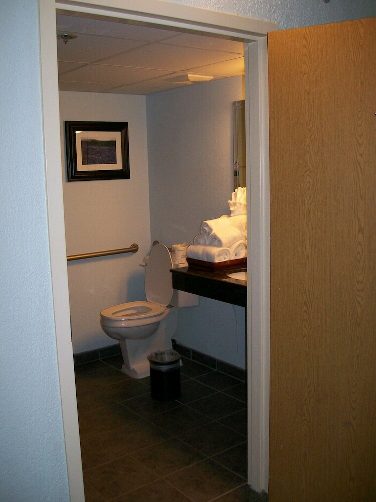 Wyndham Garden Hotel Austin