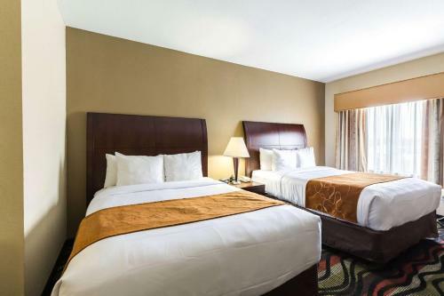 Hotel Comfort Suites Beaumont