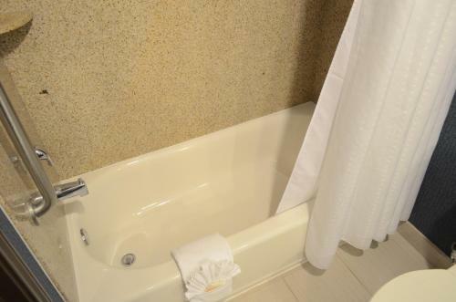 Hotel Holiday Inn Channelview