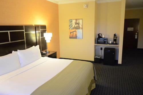 Hotel Holiday Inn Channelview