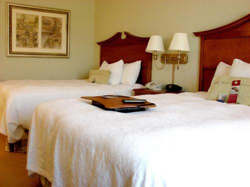 Hotel Hampton Inn & Suites College Station