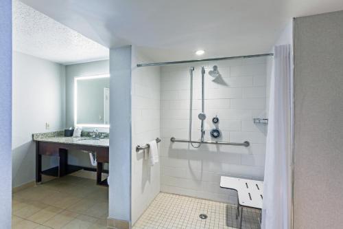 Hotel Embassy Suites Dallas - Market Center