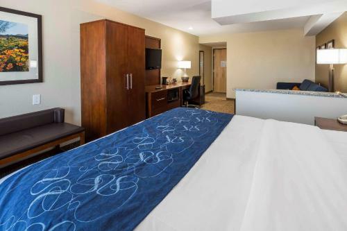 Hotel Comfort Suites El Paso Airport