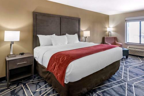 Hotel Quality Inn & Suites Lubbock