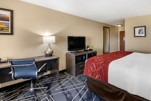 Hotel Quality Inn & Suites Lubbock