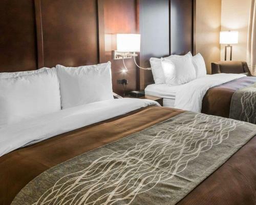 Hotel Comfort Inn & Suites Pharr/mcallen
