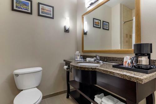 Hotel Comfort Suites Plano
