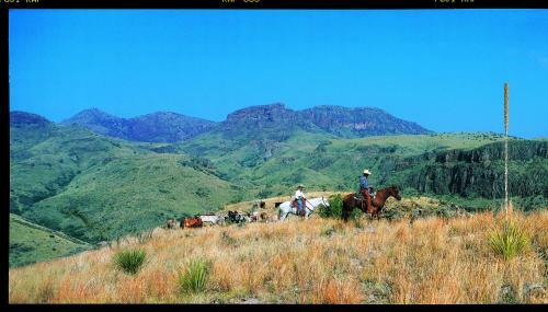 Hotel Cibolo Creek Ranch