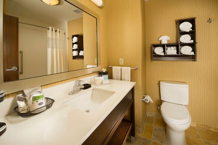 Hotel Holiday Inn Temple - Belton