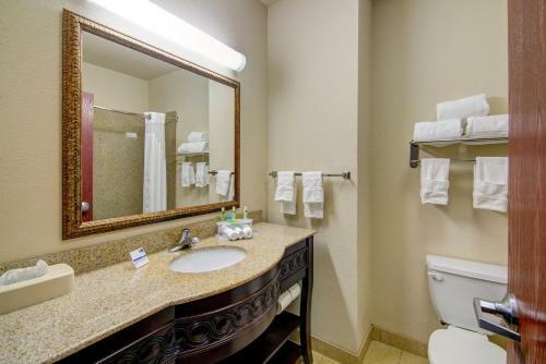Holiday Inn Express Hotel & Suites Terrell