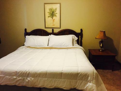Resort Style Apartment/home - The Woodlands