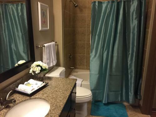 Resort Style Apartment/home - The Woodlands