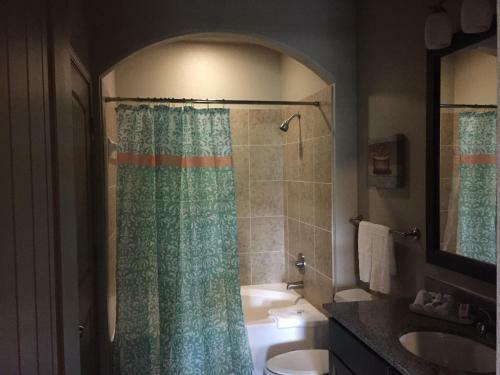 Resort Style Apartment/home - The Woodlands