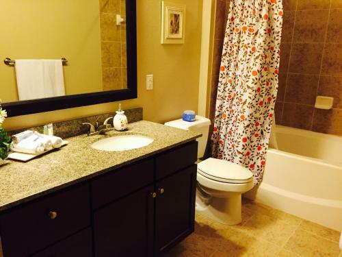 Resort Style Apartment/home - The Woodlands