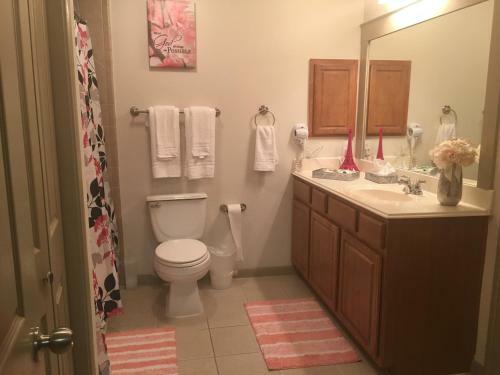 Resort Style Apartment/home - The Woodlands