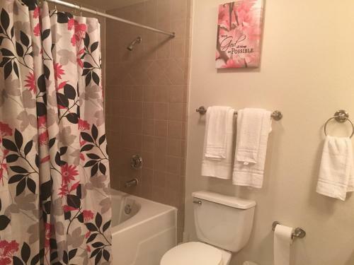 Resort Style Apartment/home - The Woodlands