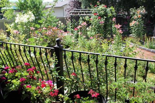 Apartamento Sunny Garden Homestay