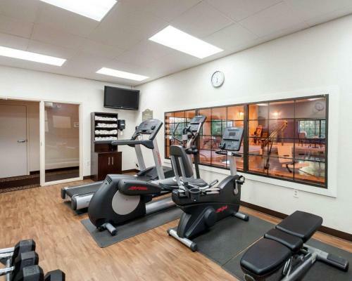 Hotel Comfort Suites Dulles Airport