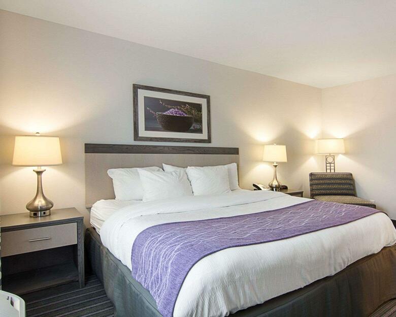Hotel Comfort Inn Williamsburg Gateway