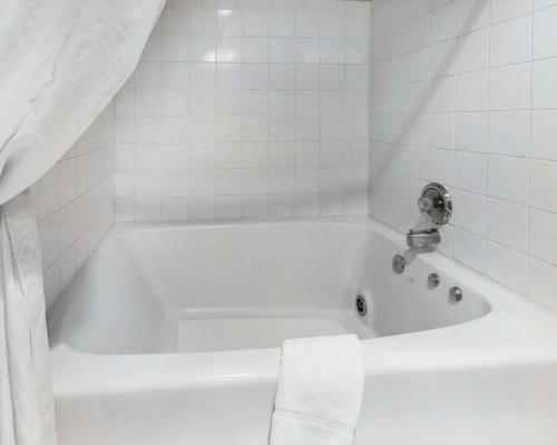 Hotel Comfort Inn Kelso