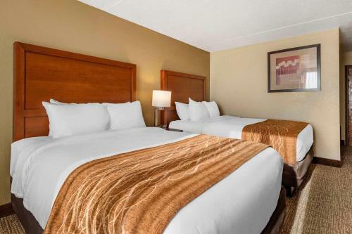 Hotel Comfort Inn & Suites
