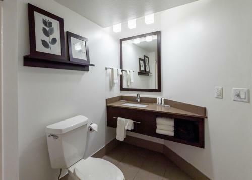 Hotel Country Inn & Suites By Radisson, Appleton, Wi