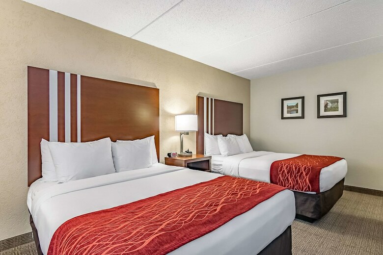 Hotel Comfort Inn Madison - Downtown