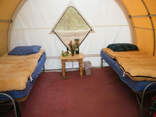 Bedroll And Breakfast ?