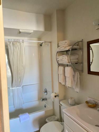 Motel Holiday Lodge