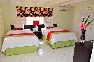 Apartamento Mystic Ridge Jamaica