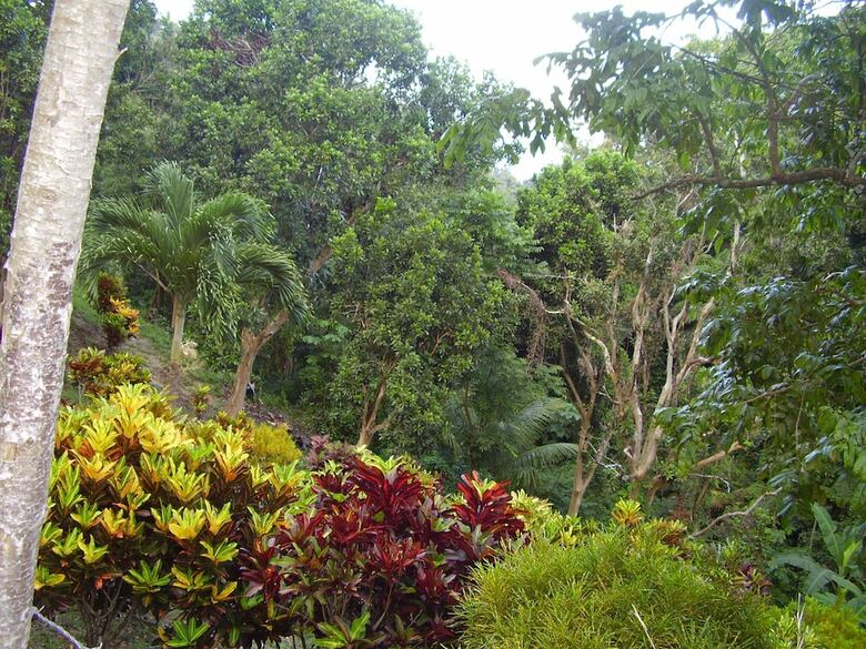 Agroturismo Teresinajamaica
