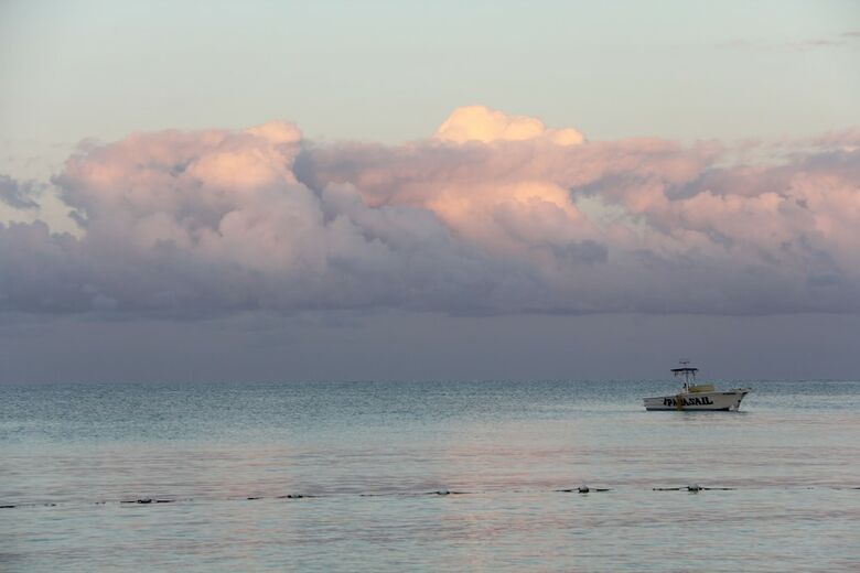 Hotel Negril Palms