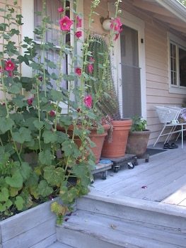 Bed & Breakfast Hollyhock Country House