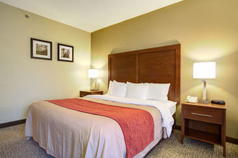 Hotel Comfort Inn Blythewood