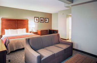 Hotel Comfort Inn Blythewood