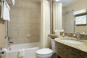 Hotel Microtel Inn & Suites Odessa Tx