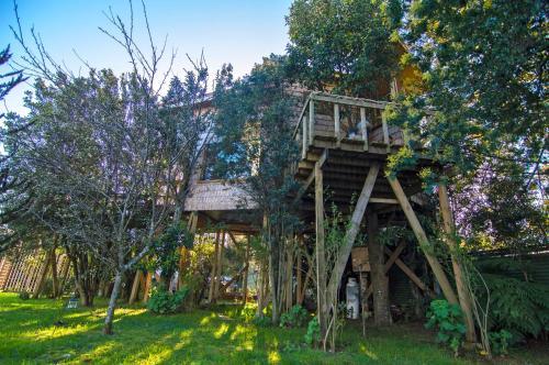 La Casa Del �rbol De Chilo�