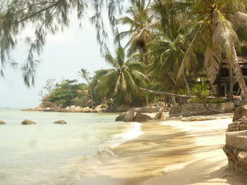 Hotel Haad Chao Phao Resort