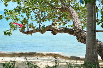 Apartamento Think & Retro Cafe Lipa Noi Samui