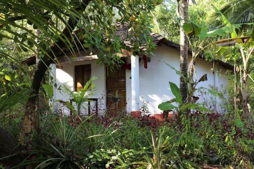 Hotel Jivana Resort