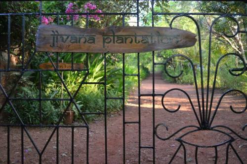 Hotel Jivana Resort