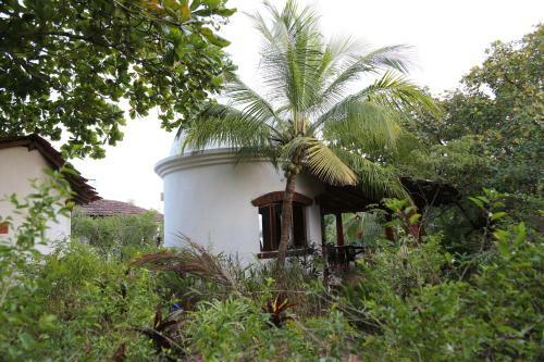 Hotel Jivana Resort