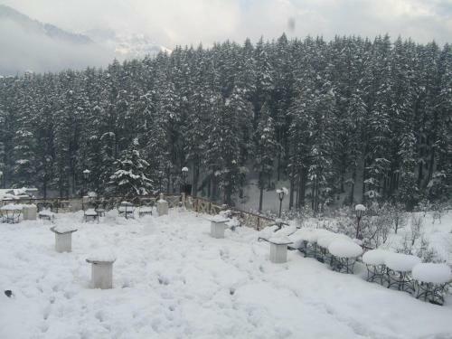 Hotel Snow Valley Resorts Manali