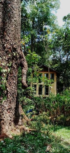 Bed & Breakfast Jungle Jive Tree House Munnar