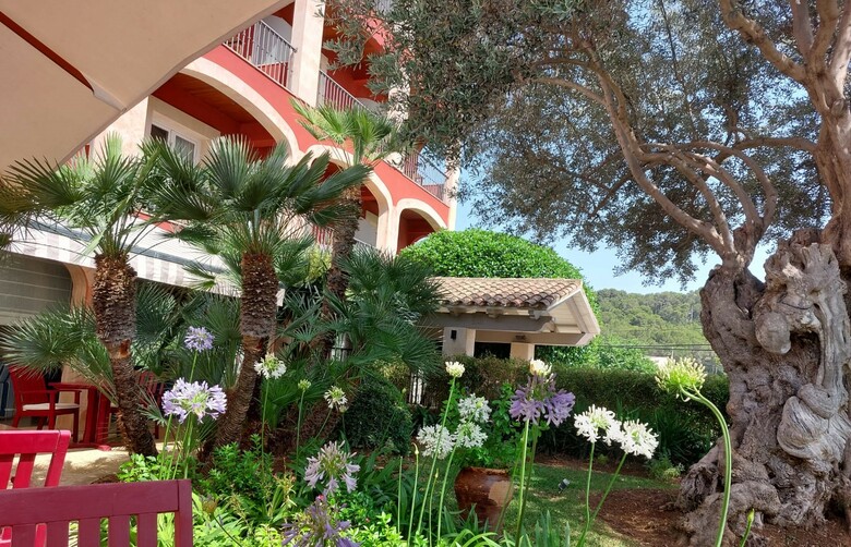 Hotel Cala Sant Vicen�