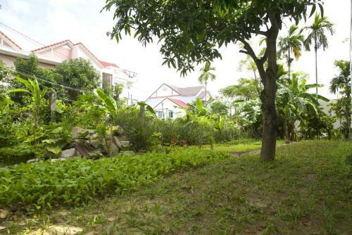 Hoian Joy Homestay
